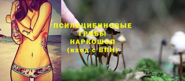 хмурый Балахна