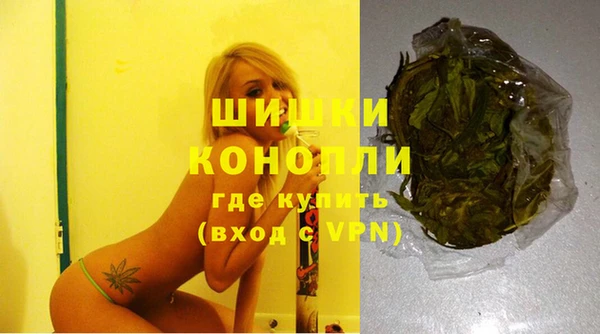 дживик Баксан