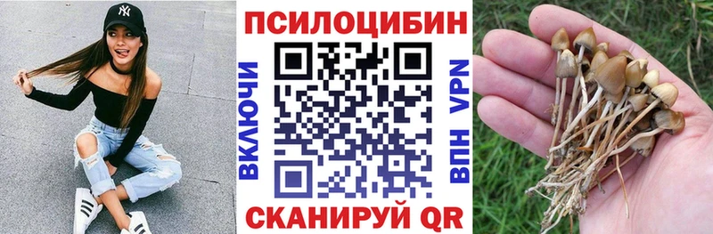 Галлюциногенные грибы MAGIC MUSHROOMS Шиханы